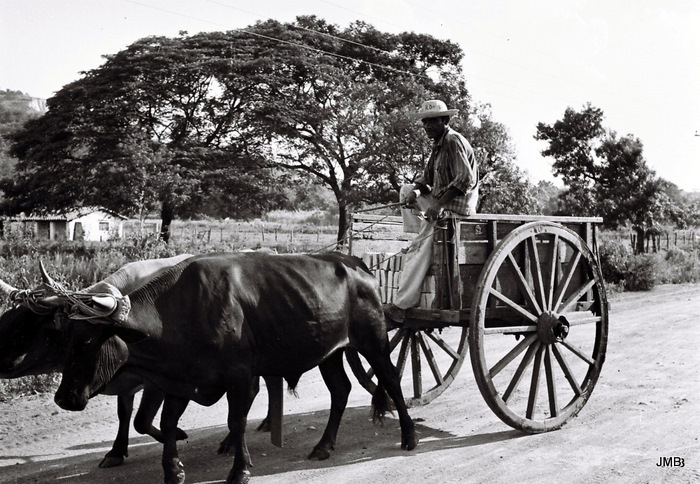 AÑO 1972 - BLANCO Y NEGRO - VIDA CAMPESINA EN PARAGUAY (JOSÉ MARÍA BLANCH)